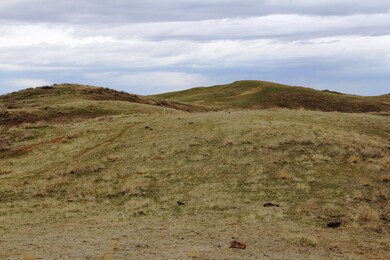 Land View