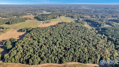 20 Acres Little Coffman Rd, Lester, AL 35647 - photo 5