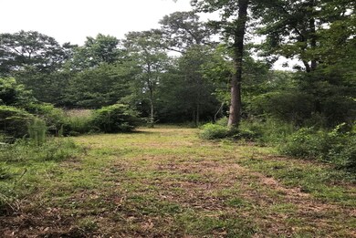 Build your home here