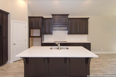 25839 Warbler View, San Antonio, TX 78255 - photo 3