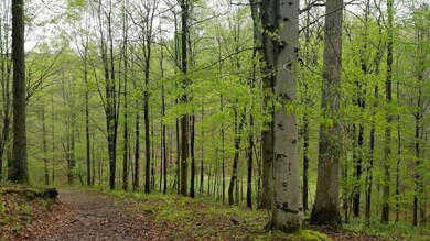 LH Voris Trails