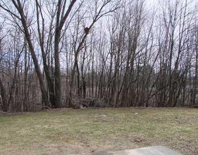 Yard/Garden.