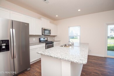 8674 Leeanna Brooke Ln, Knoxville, TN 37920 - photo 6