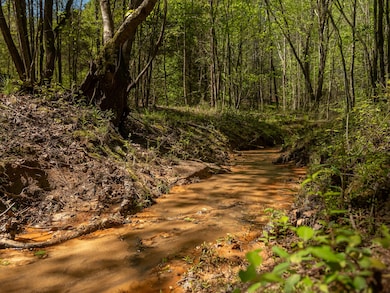 0 Mill Pine Rd, Liberty, SC 29657 - photo 2