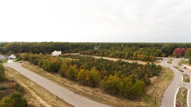 COPPERSTONE_075