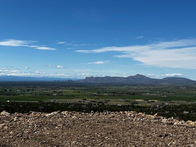 IMG_9230
