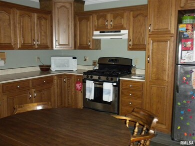 831 S Plum St, Virginia, IL 62691 - photo 5