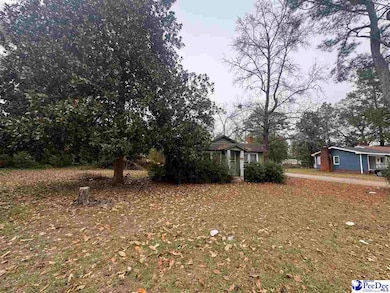 153 E Pine St, Johnsonville, SC 29555 - photo 3