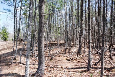 65 Grandview Rd, Conway, NH 03860 - photo 3