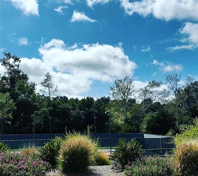 view across the street-no homes