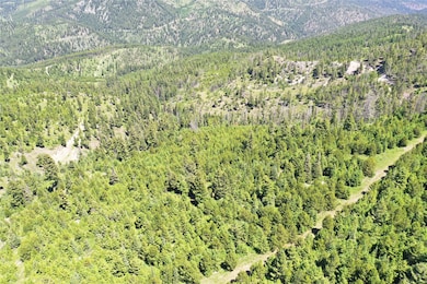 15 Tract Garnet Range, Drummond, MT 59832 - photo 5