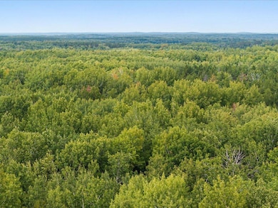Lot B Sandbar Ln, Mission Township, MN 56465 - photo 2