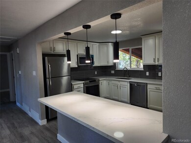 3217 E 117th Place, Thornton, CO 80233 - photo 4