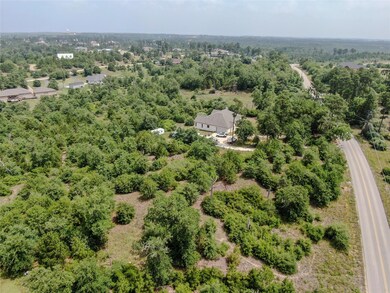 TBD Oak Shadows Dr, Bastrop, TX 78602 - photo 4