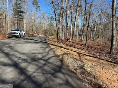 275 Shore Crest Dr, Martin, GA 30557 - photo 4