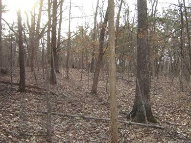 0 Ria Ln unit 693007, Eureka Springs, AR 72631 - photo 3