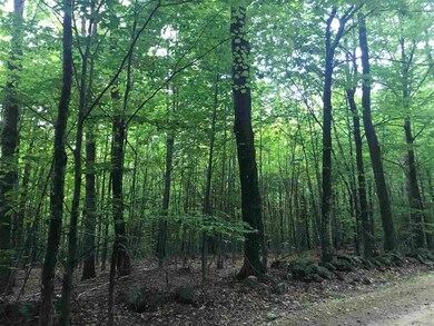 0 Sleeper Rd unit 4863849, Hillsboro, NH 03244 - photo 7