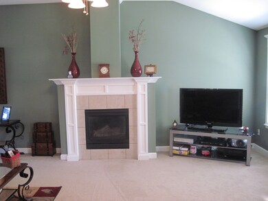 GAS FIREPLACE
