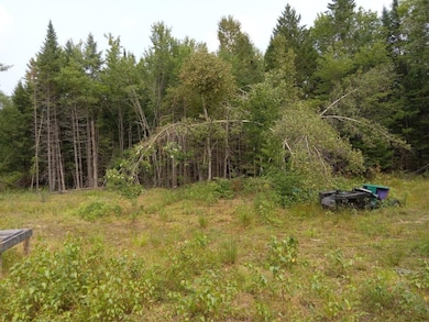 image000000(8)