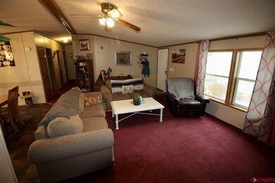 11 Ponderosa Ln unit Lot 5, Gunnison, CO 81230 - photo 3