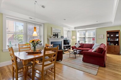 17 Worcester St unit 5, Boston, MA 02118 - photo 3