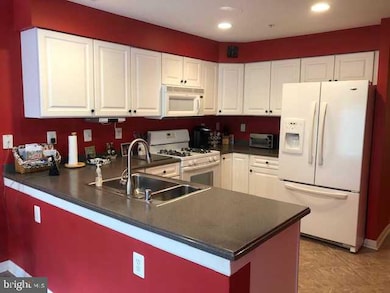 12030 Tralee Rd unit 301, Lutherville Timonium, MD 21093 - photo 2