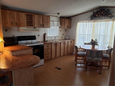 5701 Cheyenne St, Zephyrhills, FL 33542 - photo 2