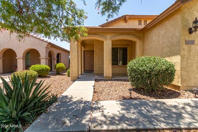 07 - Palo Verde