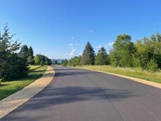 Lot 41 Lucille Ln, Merrimac, WI 53561 - photo 2