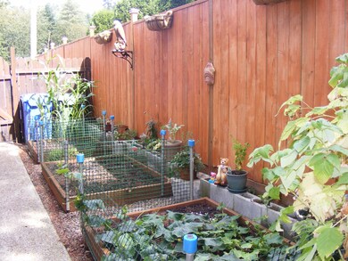 Raised beds