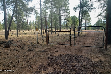 4540 Forrest Ranches Loop, Parks, AZ 86018 - photo 3