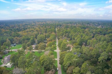 25003 Silver Leaf St, Magnolia, TX 77355 - photo 3