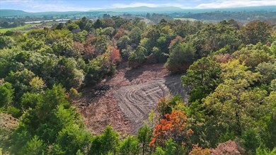 3 Latham School Rd, Shady Point, OK 74956 - photo 4