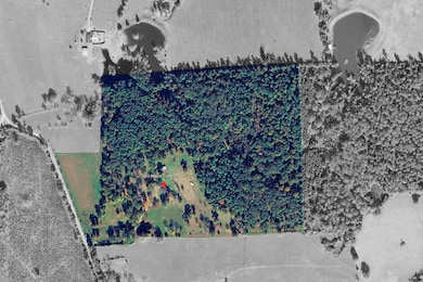 3902 Moore Cemetery Rd, Groveton, TX 75845 - photo 5