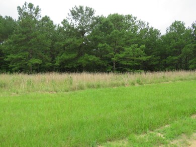 0 Eagle Port Rd, Quinton, AL 35130 - photo 5