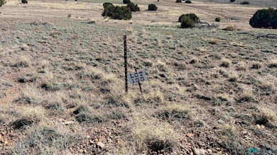 TBD Deer Cir, Quemado, NM 87829 - photo 2