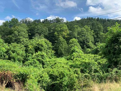 0 Cooksey Fork, Blaine, KY 41124 - photo 6