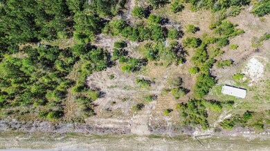 0 SW Highway 361, Steinhatchee, FL 32359 - photo 6