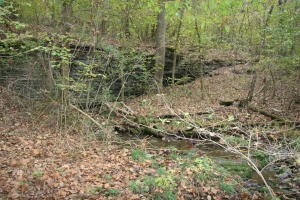 0 Wolf Springs Rd N, Harrison, AR 72601 - photo 3