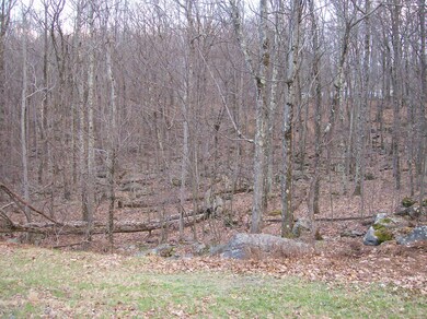 1222 Acacia Dr, Paupack Township, PA 18428 - photo 2