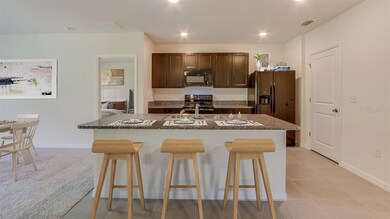 35534 Stella Vast Dr, Zephyrhills, FL 33541 - photo 2