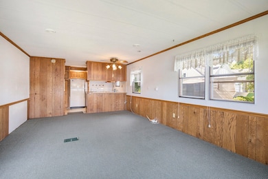 Living room/kitchen