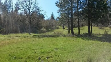 0 Tl 1800 Butte Falls Hwy unit 102976370, Butte Falls, OR 97524 - photo 3