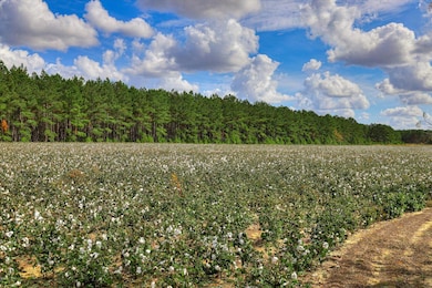 1300 Terry Dr, Wrens, GA 30833 - photo 5