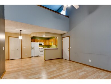 Vaulted living room with open kitchen!