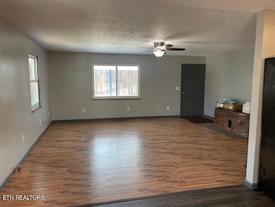 125 Walnut Ln, Oneida, TN 37841 - photo 3