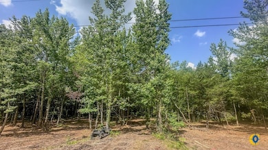 0 Birdsong Rd, Camden, TN 38320 - photo 4