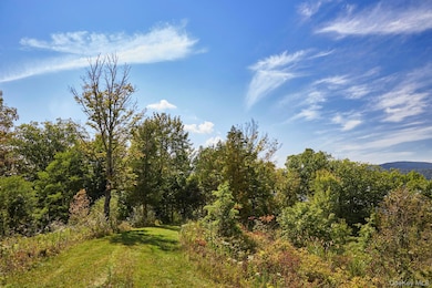 0 Mill Rd unit KEY912345, Rhinebeck, NY 12572 - photo 5