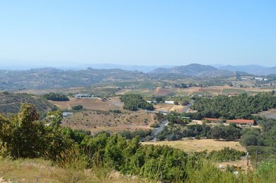 0 Red Hawk Rd unit 200004972, Valley Center, CA 92082 - photo 6