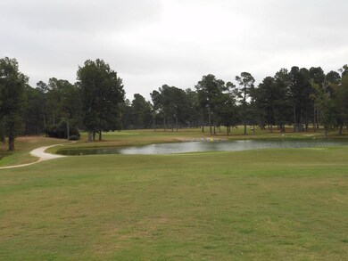 0 Shady Oak Ln unit 446794, Waynesboro, GA 30830 - photo 3